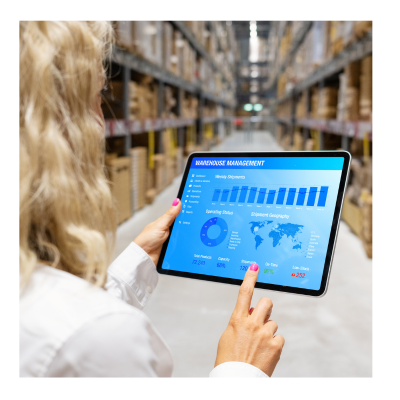 GST Database Verification