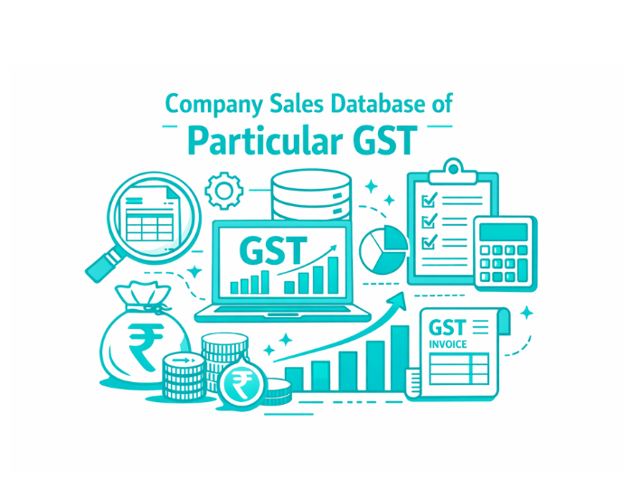 Company Sales Database of Particular Gst
