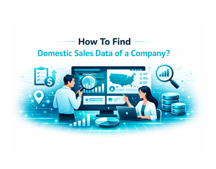 How To Find Domestic Sales Data of a Company?