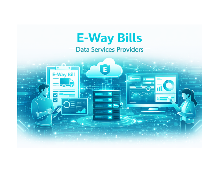 E-way Bills Data Services Providers