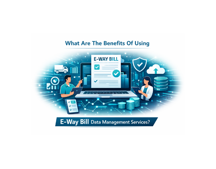 What Are The Benefits Of Using E-way Bill Data Management Services?