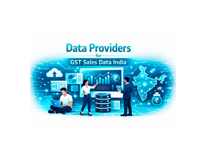 Data Providers for GST Sales Data India