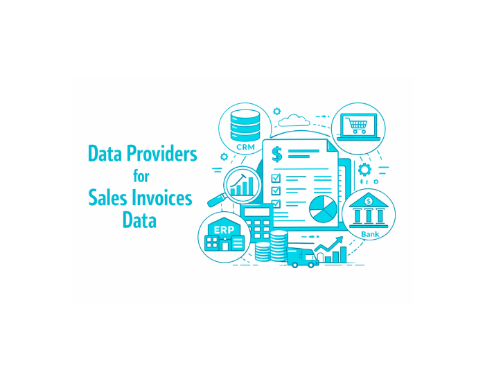 Data Providers for Sales Invoices Data