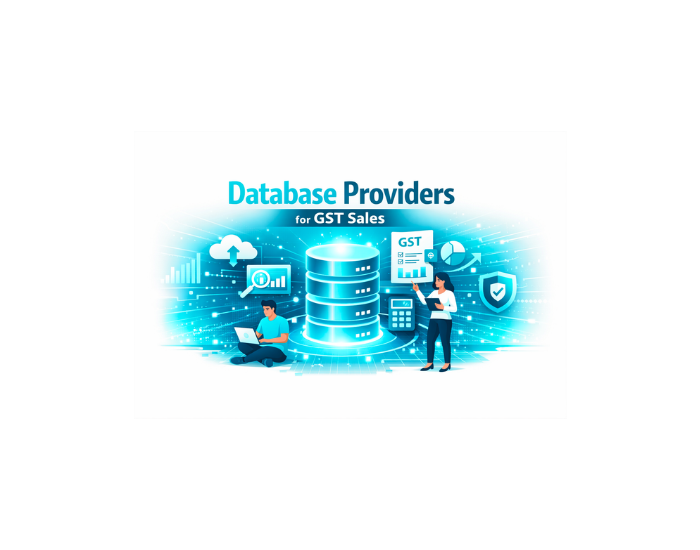 Database Providers for GST Sales