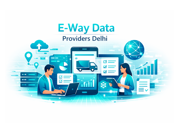E-way Data Providers Delhi